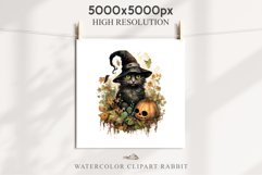 Halloween Wizard Kitten Witch Black Cats Clipart PNG Spooky Fairy Tale Art Image Watercolor witch magic Print illustration sublimation creepy printable digital watercolor cute halloween witch cat kitty pumpkin clipart, spooky sublimation nursery, Creepy a