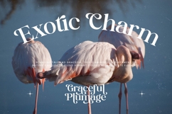 Halucka Bailey - Groovy Serif Display Font Product Image 17