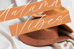 Hamberg Gallery - Handwritten Script Font Product Image 17