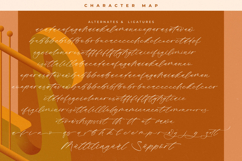 Hamberg Gallery - Handwritten Script Font Product Image 19