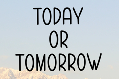 Hamsters Product Image 6