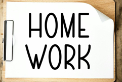 Hamsters Product Image 5