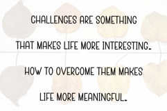 Hamsters Product Image 3