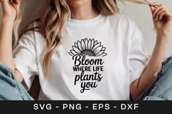 Bloom Where Life Plants You SVG PNG Product Image 1