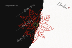 Hand Drawn Poinsettia Clipart | Christmas PNG Product Image 2