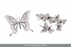 Hand Drawn Vintage Butterfly Clipart Set Product Image 1