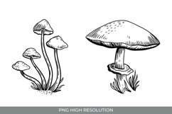Hand Drawn Vintage Mushroom Clipart Product Image 1