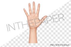 Open Palm Hand Gesture Cartoon Clipart PNG Illustration Product Image 1