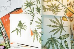 Watercolor Medical Cannabis Collection Bundle Product Image 12