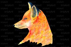 Watercolor Red Fox Sublimation Design - Animal Clipart PNG Product Image 6