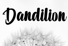 Handley Product Image 7