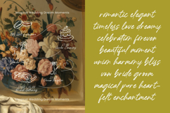 Handling Baltens - Modern Handbrush Script Product Image 8