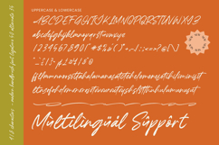 Handling Baltens - Modern Handbrush Script Product Image 14