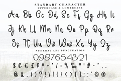 Handmode Product Image 4