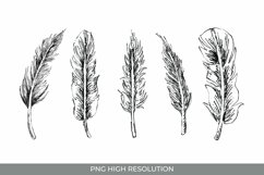 Hand Drawn Feather Clipart Set Product Image 1