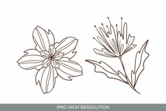 Handrawn Flowers Clipart Set Product Image 1