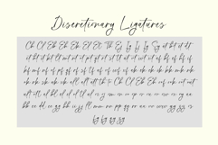 Handsome Lasting Product Image 11