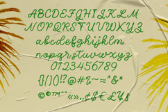 Seraphic Product Image 4