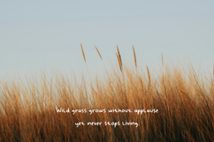 Handy Wonders - Handwritting Font Product Image 4