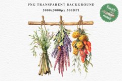 Hanging Dried Flowers Floral Clipart PNG Scrapbooking Image Nursery Watercolor Transparent wedding invitation shirt designs sublimation printable digital bloom watercolor floral dried hanging flowers bucket clipart, sublimation nursery, wedding invitation
