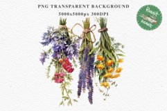 Hanging Dried Flowers Floral Clipart PNG Scrapbooking Image Nursery Watercolor Transparent wedding invitation shirt designs sublimation printable digital bloom watercolor floral dried hanging flowers bucket clipart, sublimation nursery, wedding invitation