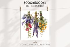 Hanging Dried Flowers Floral Clipart PNG Scrapbooking Image Nursery Watercolor Transparent wedding invitation shirt designs sublimation printable digital bloom watercolor floral dried hanging flowers bucket clipart, sublimation nursery, wedding invitation