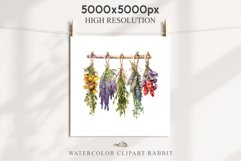 Hanging Dried Flowers Floral Clipart PNG Scrapbooking Image Nursery Watercolor Transparent wedding invitation shirt designs sublimation printable digital bloom watercolor floral dried hanging flowers bucket clipart, sublimation nursery, wedding invitation