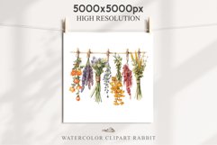 Hanging Dried Flowers Floral Clipart PNG Scrapbooking Image Nursery Watercolor Transparent wedding invitation shirt designs sublimation printable digital bloom watercolor floral dried hanging flowers bucket clipart, sublimation nursery, wedding invitation