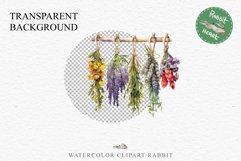 Hanging Dried Flowers Floral Clipart PNG Scrapbooking Image Nursery Watercolor Transparent wedding invitation shirt designs sublimation printable digital bloom watercolor floral dried hanging flowers bucket clipart, sublimation nursery, wedding invitation