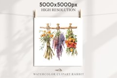 Hanging Dried Flowers Floral Clipart PNG Scrapbooking Image Nursery Watercolor Transparent wedding invitation shirt designs sublimation printable digital bloom watercolor floral dried hanging flowers bucket clipart, sublimation nursery, wedding invitation