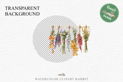 Hanging Dried Flowers Floral Clipart PNG Scrapbooking Image Nursery Watercolor Transparent wedding invitation shirt designs sublimation printable digital bloom watercolor floral dried hanging flowers bucket clipart, sublimation nursery, wedding invitation