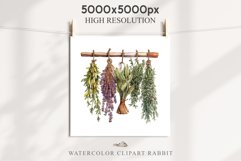 Hanging Dried Herbs Flowers Floral Clipart PNG Scrapbooking Nursery Watercolor Transparent wedding invitation shirt designs sublimation printable digital bloom watercolor floral dried hanging herbs flowers clipart, sublimation nursery, wedding invitation