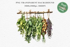 Hanging Dried Herbs Flowers Floral Clipart PNG Scrapbooking Nursery Watercolor Transparent wedding invitation shirt designs sublimation printable digital bloom watercolor floral dried hanging herbs flowers clipart, sublimation nursery, wedding invitation
