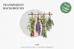 Hanging Dried Herbs Flowers Floral Clipart PNG Scrapbooking Nursery Watercolor Transparent wedding invitation shirt designs sublimation printable digital bloom watercolor floral dried hanging herbs flowers clipart, sublimation nursery, wedding invitation