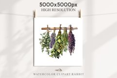 Hanging Dried Herbs Flowers Floral Clipart PNG Scrapbooking Nursery Watercolor Transparent wedding invitation shirt designs sublimation printable digital bloom watercolor floral dried hanging herbs flowers clipart, sublimation nursery, wedding invitation