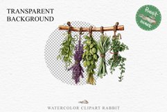 Hanging Dried Herbs Flowers Floral Clipart PNG Scrapbooking Nursery Watercolor Transparent wedding invitation shirt designs sublimation printable digital bloom watercolor floral dried hanging herbs flowers clipart, sublimation nursery, wedding invitation
