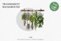 Hanging Dried Herbs Flowers Floral Clipart PNG Scrapbooking Nursery Watercolor Transparent wedding invitation shirt designs sublimation printable digital bloom watercolor floral dried hanging herbs flowers clipart, sublimation nursery, wedding invitation
