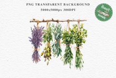 Hanging Dried Herbs Flowers Floral Clipart PNG Scrapbooking Nursery Watercolor Transparent wedding invitation shirt designs sublimation printable digital bloom watercolor floral dried hanging herbs flowers clipart, sublimation nursery, wedding invitation