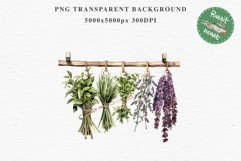 Hanging Dried Herbs Flowers Floral Clipart PNG Scrapbooking Nursery Watercolor Transparent wedding invitation shirt designs sublimation printable digital bloom watercolor floral dried hanging herbs flowers clipart, sublimation nursery, wedding invitation
