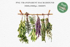 Hanging Dried Herbs Flowers Floral Clipart PNG Scrapbooking Nursery Watercolor Transparent wedding invitation shirt designs sublimation printable digital bloom watercolor floral dried hanging herbs flowers clipart, sublimation nursery, wedding invitation