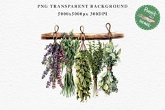 Hanging Dried Herbs Flowers Floral Clipart PNG Scrapbooking Nursery Watercolor Transparent wedding invitation shirt designs sublimation printable digital bloom watercolor floral dried hanging herbs flowers clipart, sublimation nursery, wedding invitation