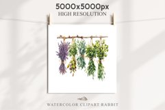 Hanging Dried Herbs Flowers Floral Clipart PNG Scrapbooking Nursery Watercolor Transparent wedding invitation shirt designs sublimation printable digital bloom watercolor floral dried hanging herbs flowers clipart, sublimation nursery, wedding invitation