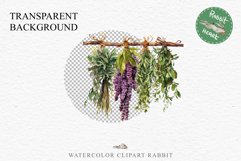 Hanging Dried Herbs Flowers Floral Clipart PNG Scrapbooking Nursery Watercolor Transparent wedding invitation shirt designs sublimation printable digital bloom watercolor floral dried hanging herbs flowers clipart, sublimation nursery, wedding invitation