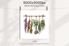 Hanging Dried Herbs Flowers Floral Clipart PNG Scrapbooking Nursery Watercolor Transparent wedding invitation shirt designs sublimation printable digital bloom watercolor floral dried hanging herbs flowers clipart, sublimation nursery, wedding invitation