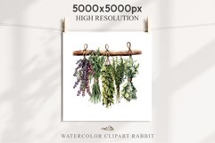 Hanging Dried Herbs Flowers Floral Clipart PNG Scrapbooking Nursery Watercolor Transparent wedding invitation shirt designs sublimation printable digital bloom watercolor floral dried hanging herbs flowers clipart, sublimation nursery, wedding invitation