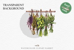 Hanging Dried Herbs Flowers Floral Clipart PNG Scrapbooking Nursery Watercolor Transparent wedding invitation shirt designs sublimation printable digital bloom watercolor floral dried hanging herbs flowers clipart, sublimation nursery, wedding invitation