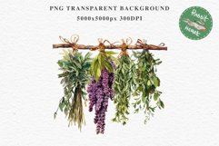 Hanging Dried Herbs Flowers Floral Clipart PNG Scrapbooking Nursery Watercolor Transparent wedding invitation shirt designs sublimation printable digital bloom watercolor floral dried hanging herbs flowers clipart, sublimation nursery, wedding invitation