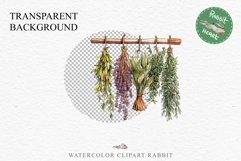 Hanging Dried Herbs Flowers Floral Clipart PNG Scrapbooking Nursery Watercolor Transparent wedding invitation shirt designs sublimation printable digital bloom watercolor floral dried hanging herbs flowers clipart, sublimation nursery, wedding invitation