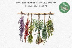 Hanging Dried Herbs Flowers Floral Clipart PNG Scrapbooking Nursery Watercolor Transparent wedding invitation shirt designs sublimation printable digital bloom watercolor floral dried hanging herbs flowers clipart, sublimation nursery, wedding invitation