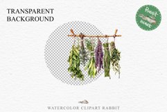 Hanging Dried Herbs Flowers Floral Clipart PNG Scrapbooking Nursery Watercolor Transparent wedding invitation shirt designs sublimation printable digital bloom watercolor floral dried hanging herbs flowers clipart, sublimation nursery, wedding invitation